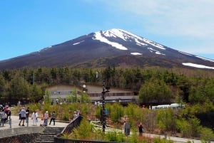 Токио: экскурсия по горе Фудзи с традиционным обедом