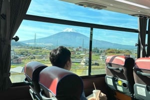 Токио: экскурсия по горе Фудзи с традиционным обедом