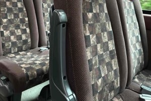 Токио: экскурсия по горе Фудзи с традиционным обедом