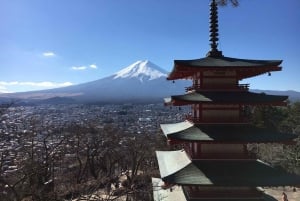 Токио: экскурсия по горе Фудзи с традиционным обедом