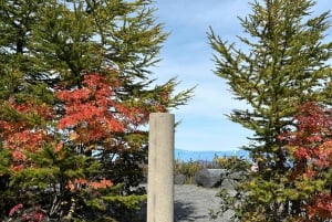 Токио: экскурсия по горе Фудзи с традиционным обедом