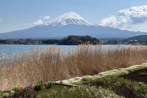 Токио: экскурсия по горе Фудзи с традиционным обедом