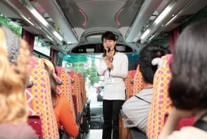 Токио: экскурсия по горе Фудзи с традиционным обедом