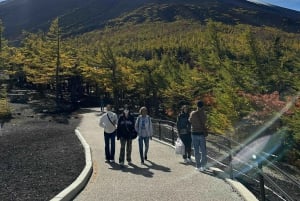 Токио: экскурсия по горе Фудзи с традиционным обедом