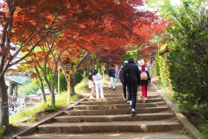 Токио: экскурсия по горе Фудзи с традиционным обедом