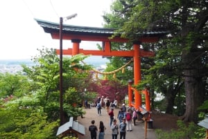 Токио: экскурсия по горе Фудзи с традиционным обедом