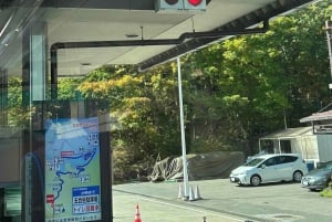 Токио: экскурсия по горе Фудзи с традиционным обедом