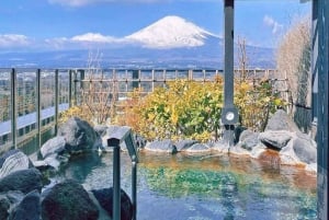 Tokyo: Mt.Fuji, Hakone Ropeway and Owakudani ValleyDay Tour