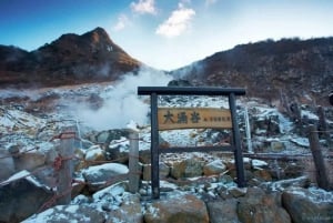 Tokyo: Mt.Fuji, Hakone Ropeway and Owakudani ValleyDay Tour