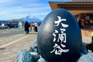 Tokyo: Mt.Fuji, Hakone Ropeway and Owakudani ValleyDay Tour