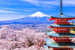 Tokyo : Excursion d'une journée dans la région du Mont Fuji, Oshino Hakkai et le lac Kawaguchi