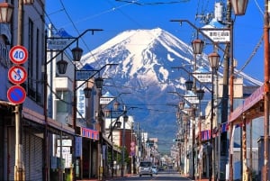 Tokyo : Excursion d'une journée dans la région du Mont Fuji, Oshino Hakkai et le lac Kawaguchi