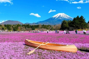 Tokyo : Excursion d'une journée dans la région du Mont Fuji, Oshino Hakkai et le lac Kawaguchi