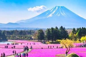 Tokyo : Excursion d'une journée dans la région du Mont Fuji, Oshino Hakkai et le lac Kawaguchi