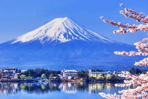 Tokyo : Excursion d'une journée dans la région du Mont Fuji, Oshino Hakkai et le lac Kawaguchi