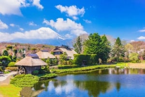 Tokyo : Excursion d'une journée dans la région du Mont Fuji, Oshino Hakkai et le lac Kawaguchi