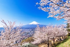 Tokyo : Excursion d'une journée dans la région du Mont Fuji, Oshino Hakkai et le lac Kawaguchi