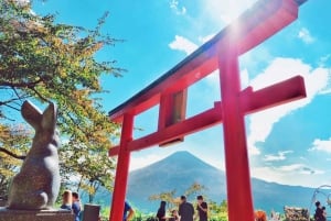 Tokyo : Excursion d'une journée dans la région du Mont Fuji, Oshino Hakkai et le lac Kawaguchi