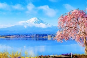 Tokyo : Excursion d'une journée dans la région du Mont Fuji, Oshino Hakkai et le lac Kawaguchi