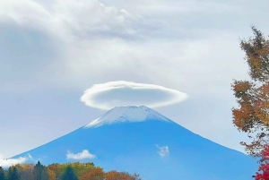 Tokio: Fuji-vuoren kirsikankukka-päiväretki ja Yamanakan kuumat lähteet