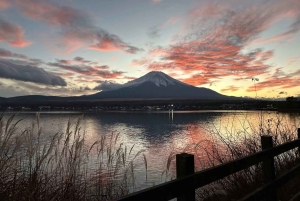 Tokio: Fuji-vuoren kirsikankukka-päiväretki ja Yamanakan kuumat lähteet