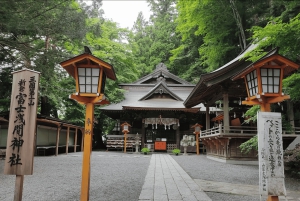 Au départ de Tokyo : excursion en espagnol et en anglais au mont Fuji