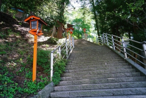 Au départ de Tokyo : excursion en espagnol et en anglais au mont Fuji