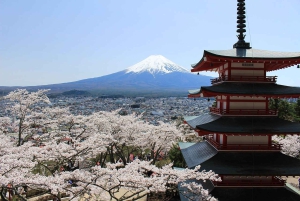 Au départ de Tokyo : excursion en espagnol et en anglais au mont Fuji