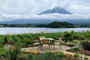 Au départ de Tokyo : excursion en espagnol et en anglais au mont Fuji