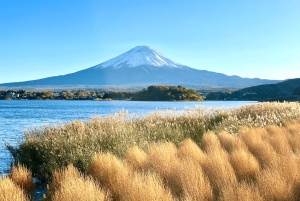 Au départ de Tokyo : excursion en espagnol et en anglais au mont Fuji