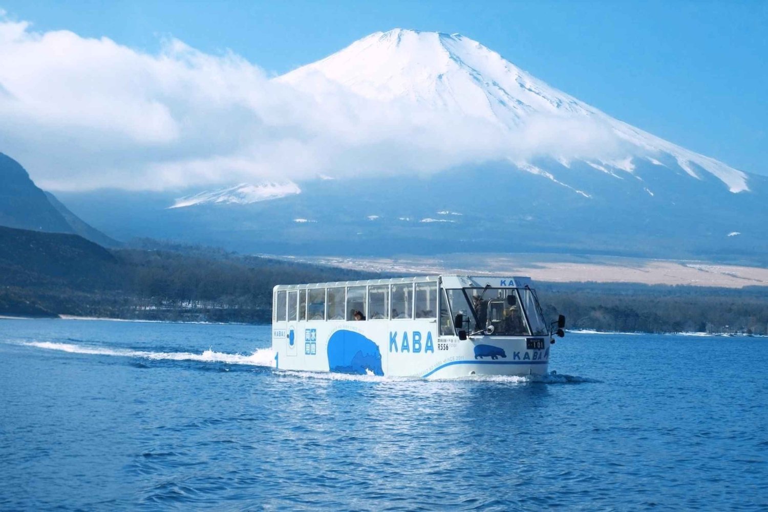 Tokyo: Kamakura og Enoshima-øya / med henting og togtur