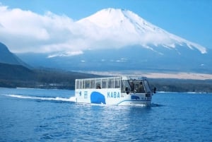 Tokyo: Kamakura og Enoshima-øya / med henting og togtur