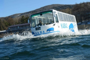 Tokyo: Kamakura og Enoshima-øya / med henting og togtur