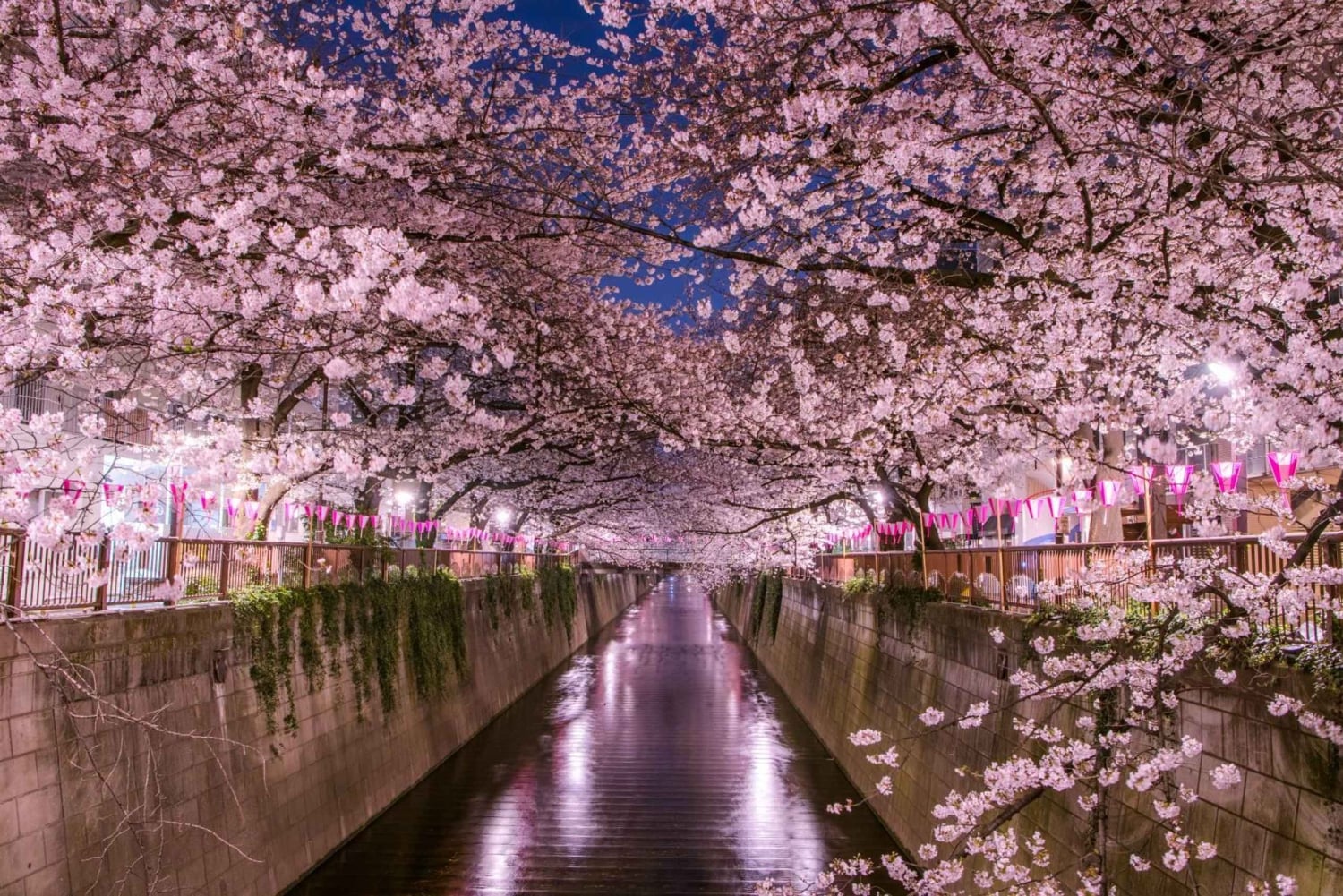 Tokio: Excursión Privada de un Día al Monte Fuji y los Cerezos en Flor de Hakone