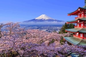 Tokio: Excursión Privada de un Día al Monte Fuji y los Cerezos en Flor de Hakone