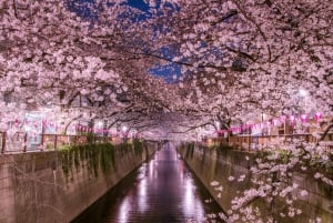 Tokio: Excursión Privada de un Día al Monte Fuji y los Cerezos en Flor de Hakone