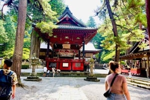 Tokio: Excursión Privada de un Día al Monte Fuji y los Cerezos en Flor de Hakone