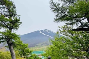 Tokio: Excursión Privada de un Día al Monte Fuji y los Cerezos en Flor de Hakone