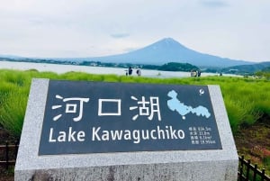 Tokio: Excursión Privada de un Día al Monte Fuji y los Cerezos en Flor de Hakone
