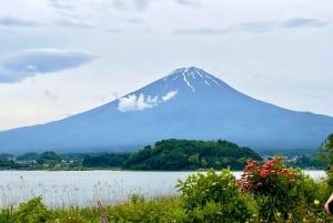 Tokio: Excursión Privada de un Día al Monte Fuji y los Cerezos en Flor de Hakone