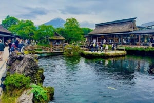Tokio: Excursión Privada de un Día al Monte Fuji y los Cerezos en Flor de Hakone