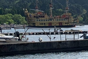 Tokio: Excursión Privada de un Día al Monte Fuji y los Cerezos en Flor de Hakone
