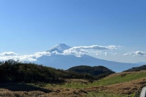 Tokio: Excursión Privada de un Día al Monte Fuji y los Cerezos en Flor de Hakone