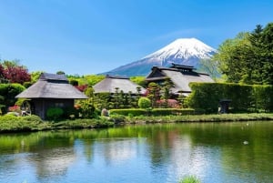 Tokio: Excursión Privada de un Día al Monte Fuji y los Cerezos en Flor de Hakone