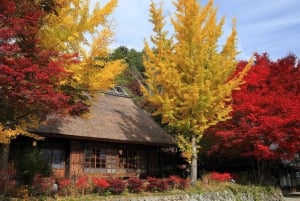 Tokio: Excursión Privada de un Día al Monte Fuji y los Cerezos en Flor de Hakone