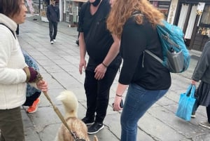 Tokio: Excursión Privada de un Día al Monte Fuji y los Cerezos en Flor de Hakone