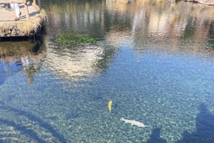 Tokio: Excursión Privada de un Día al Monte Fuji y los Cerezos en Flor de Hakone
