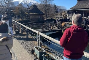 Tokio: Excursión Privada de un Día al Monte Fuji y los Cerezos en Flor de Hakone