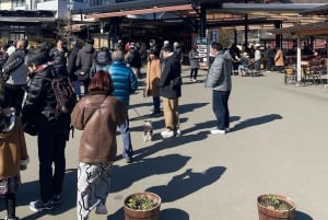 Tokio: Excursión Privada de un Día al Monte Fuji y los Cerezos en Flor de Hakone