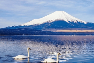 Tokio: Mt Fuji, Hakone, rejs, kolejka linowa i Oshino Hakkai Tour